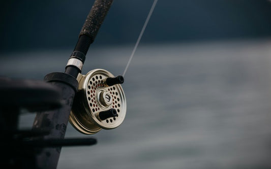 Fil Fluorocarbone vs Fil Nylon : Quelles Différences et Quand Utiliser Chacun?