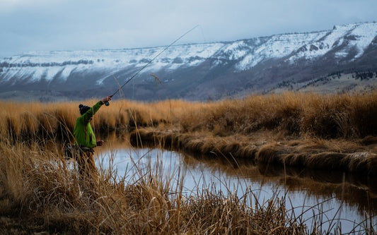 Tendances 2024 : Quels Leurres Adopter pour la Pêche au Brochet ?