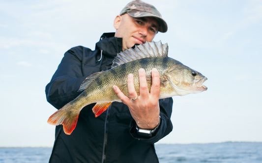 Les Meilleurs Leurres pour la Pêche à la Perche : Guide d'achat complet