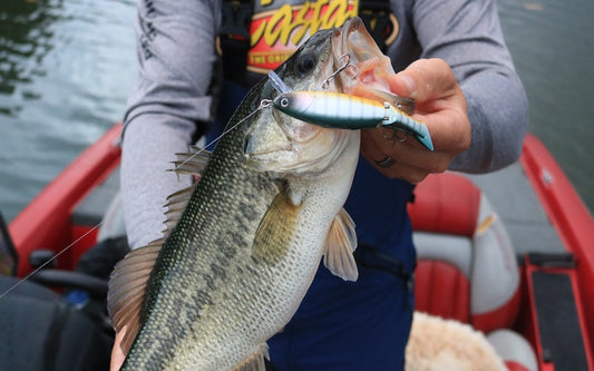 Pourquoi le crankbait est le leurre le plus polyvalent pour la pêche ?